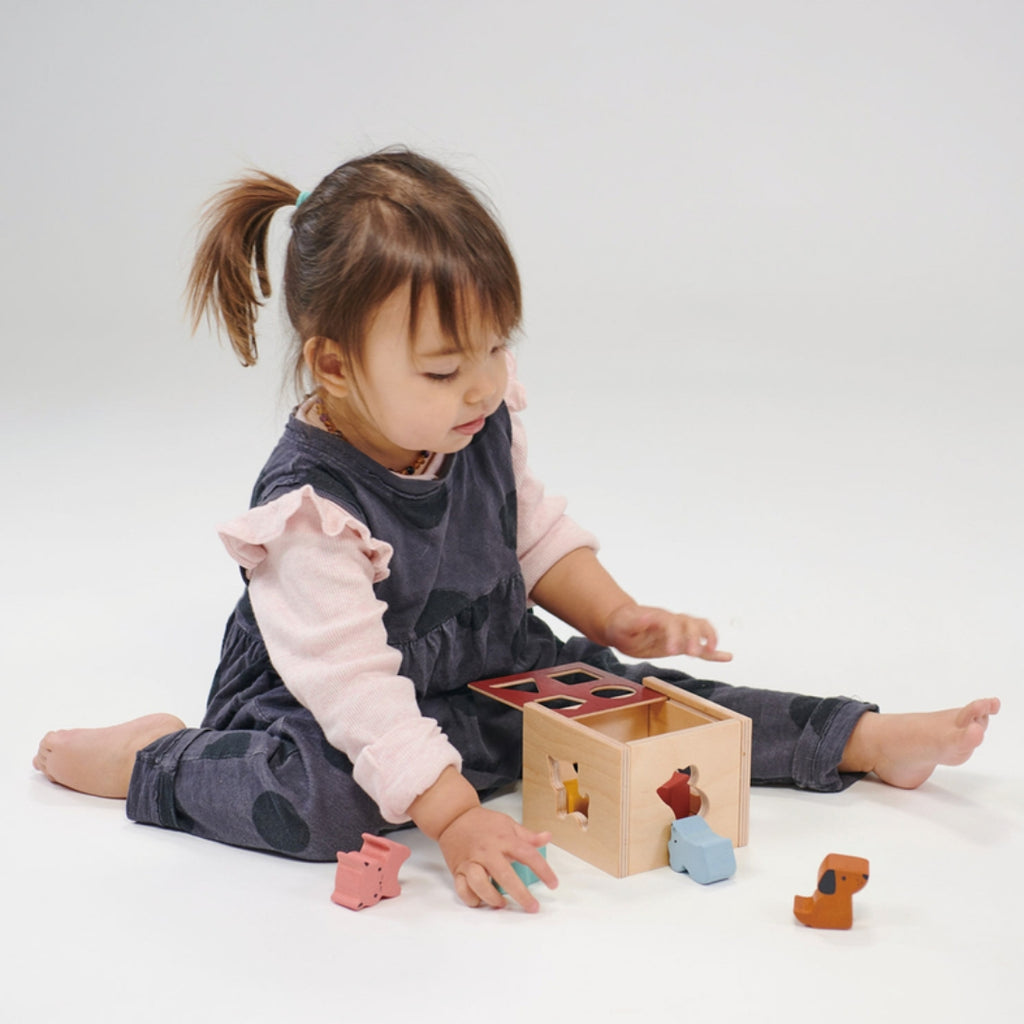 Bambino Shape Sorting Cube - UrbanBaby shop